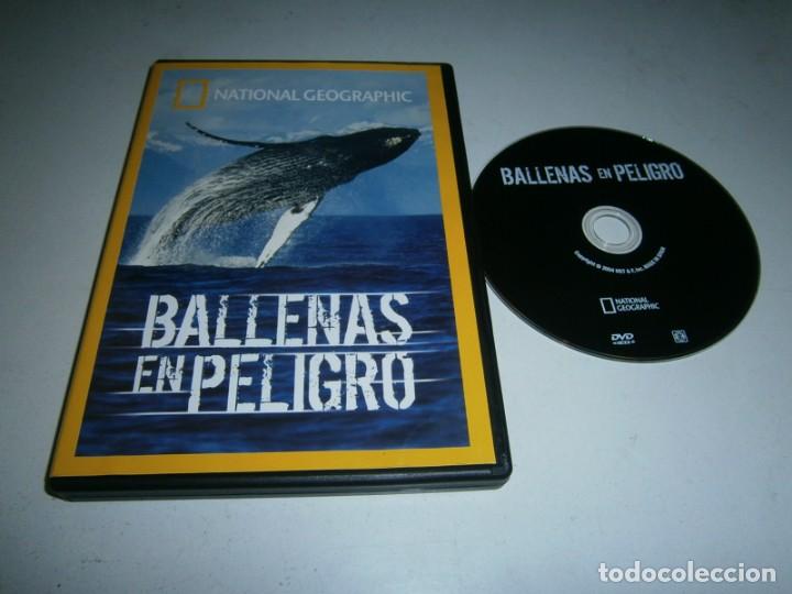 Kino: BALLENAS EN PELIGRO DVD NATIONALA GEOGRAPHIC
