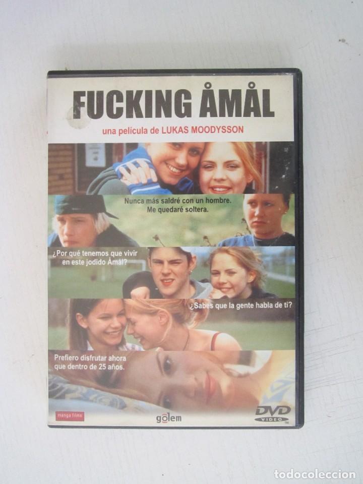 Cinema: (250) DVD FUCKING AMAL
