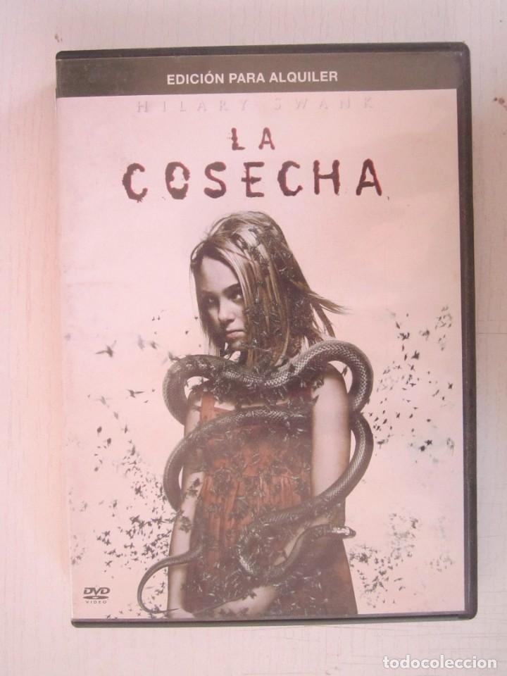 Cine: (318) DVD LA COSECHA - Foto 1