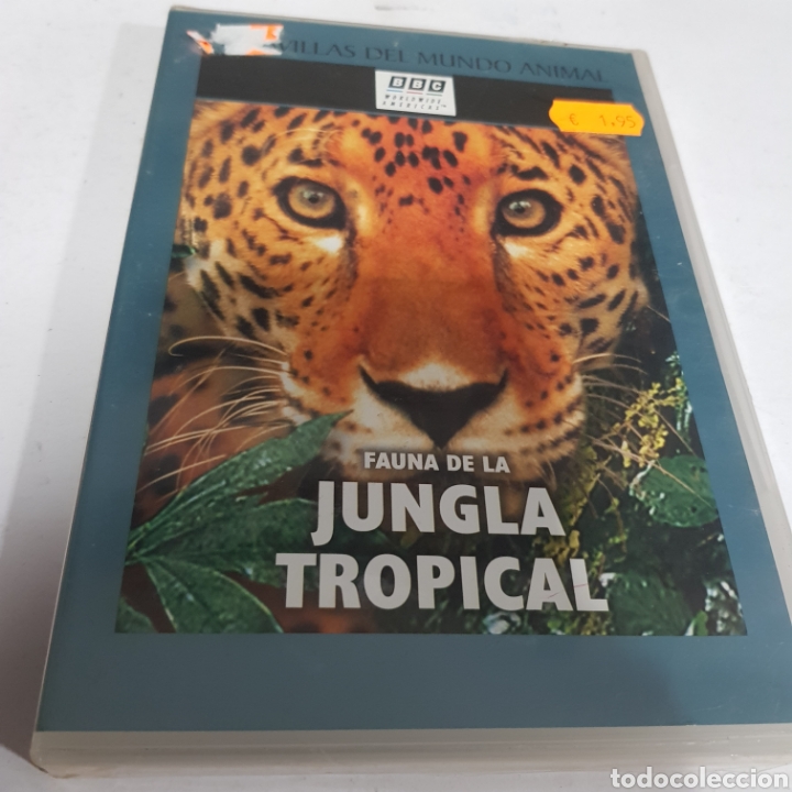 Cinema: ND25 fauna de la jungla tropical -DVD NUEVO PRECINTADO