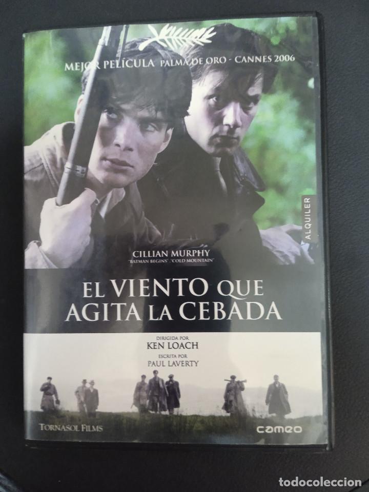 Kino: EL VIENTO QUE AGITA LA CEBADA