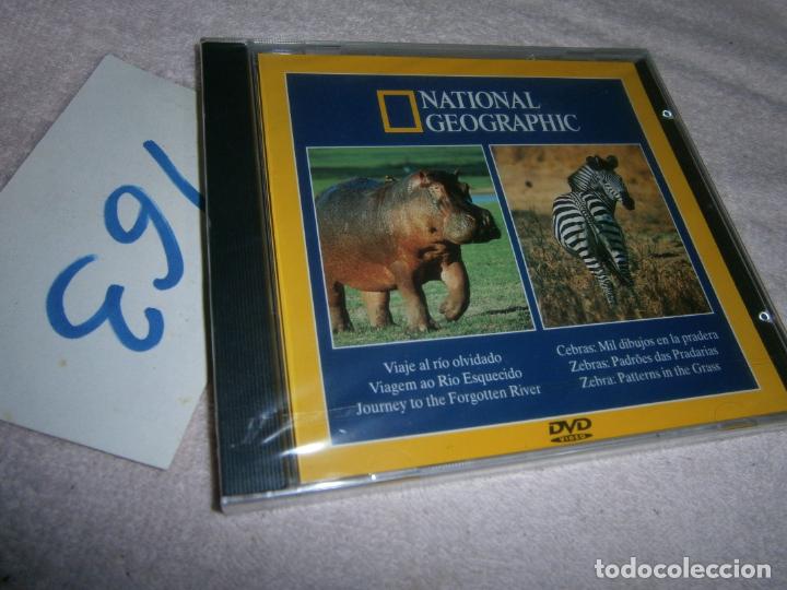 Cine: NATIONAL GEOGRAPHIC (VIAJAE AL RIO OLVIDADO-CEBRAS) - ENVIO INCLUIDO A ESPA&Ntilde;A