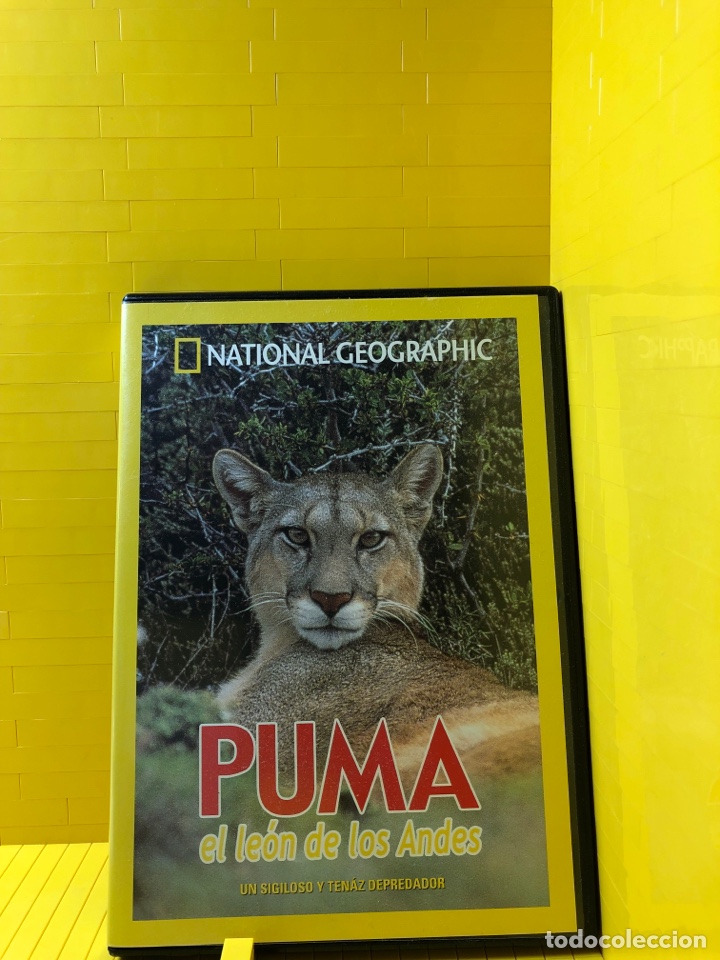 Cine: DVD ● PUMA ● EL LEON DE LOS ANDES ● NATIONAL GEOGRAPHIC ●