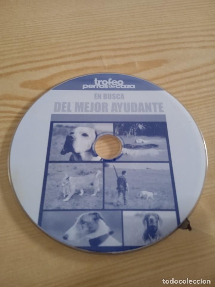 Cinema: C-LKET48 DVD SIN CARATULA TROFEO PERROS DE CAZA EN BUSCA DEL MEJOR AYUDANTE