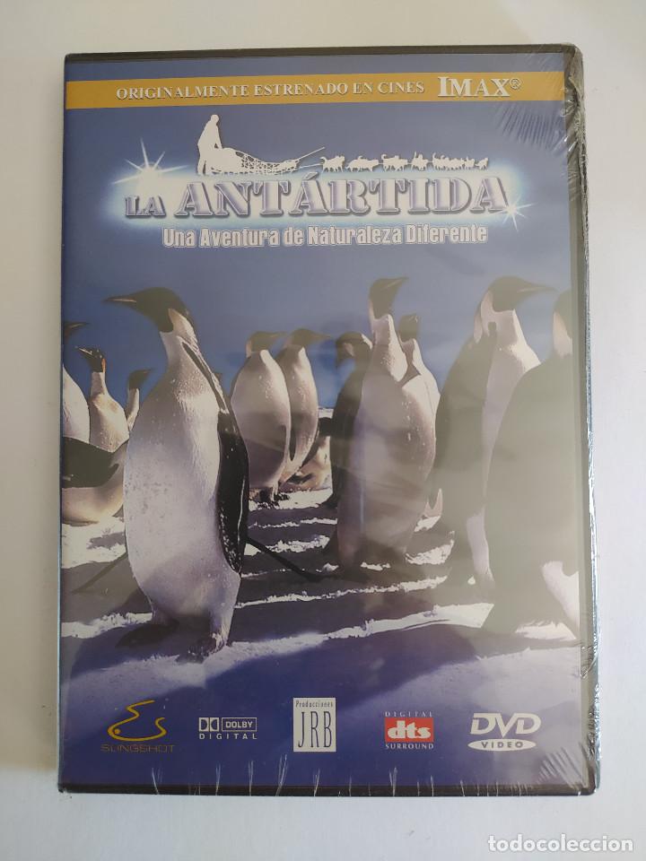Cine: DOCUMENTAL DVD IMAX LA &Aacute;NTARTIDA PRECINTADO COMPRA M&Iacute;NIMA 5 EUROS