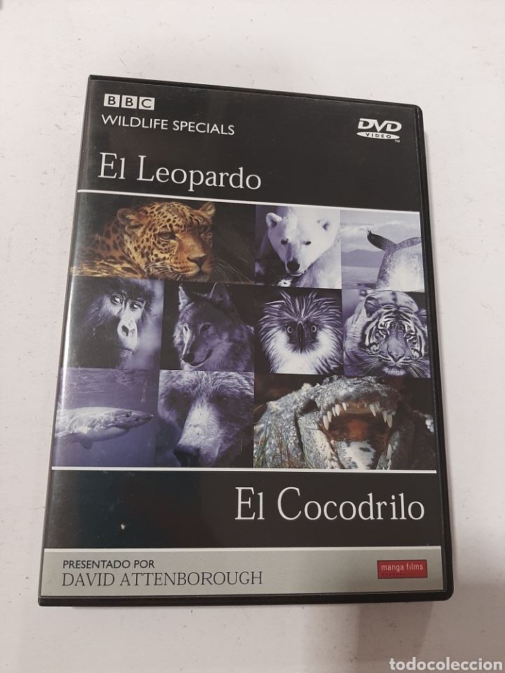 Cine: S101 el cocodrilo el leopardo -DVD SEGUNDAMANO