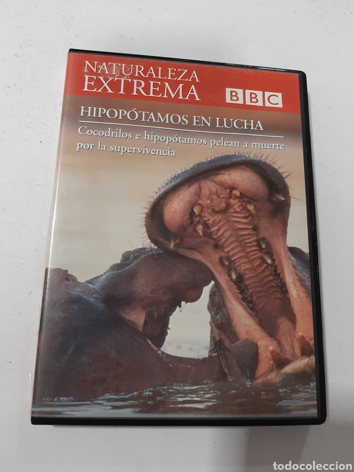 Kino: S116 hipop&oacute;tamos en lucha -DVD SEGUNDAMANO