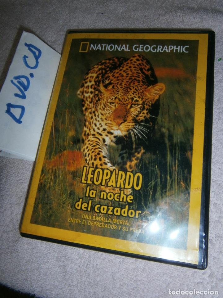 Cine: DVD - NATIONAL GEOGRAPHIC - LEOPARDO LA NOCHE DEL CAZADOR - ENVIO INCLUIDO A ESPA&Ntilde;A