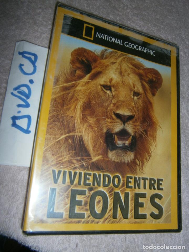Cine: PELICULA DVD - VIVIENDO ENTRE LEONES - ENVIO GRATIS A ESPA&Ntilde;A