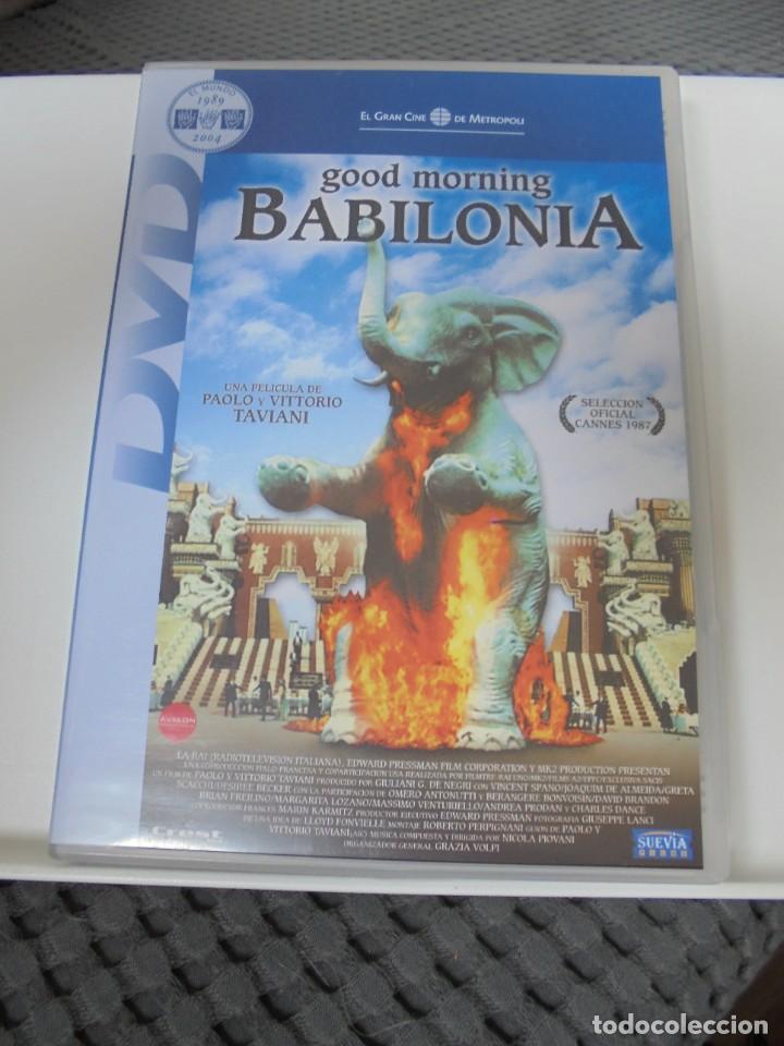 Kino: GOOD MORNING BABILONIA. DVD DE LA MARAVILLOSA PELICULA DE LOS HERMANOS TAVIANI. COLOR. 115 MINUTOS.