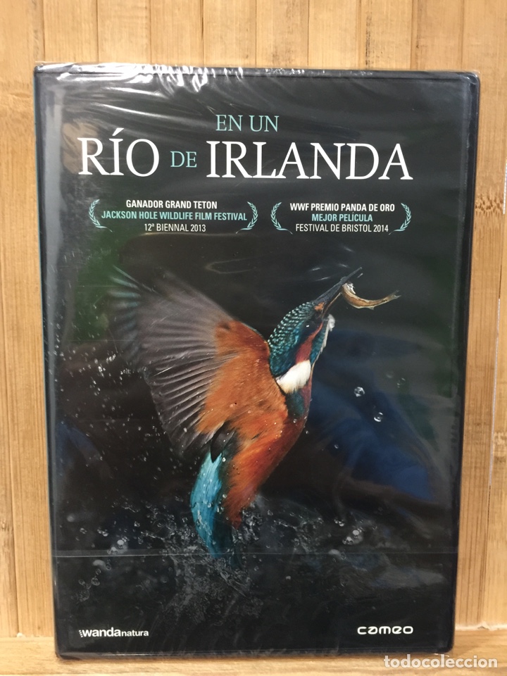 Cine: En un r&iacute;o de Irlanda DVD - Precintado -