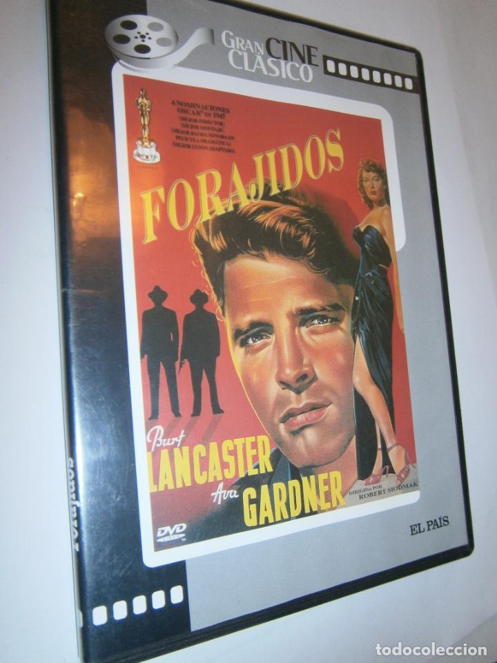 Cinema: PELICULA DVD - FORAJIDOS
