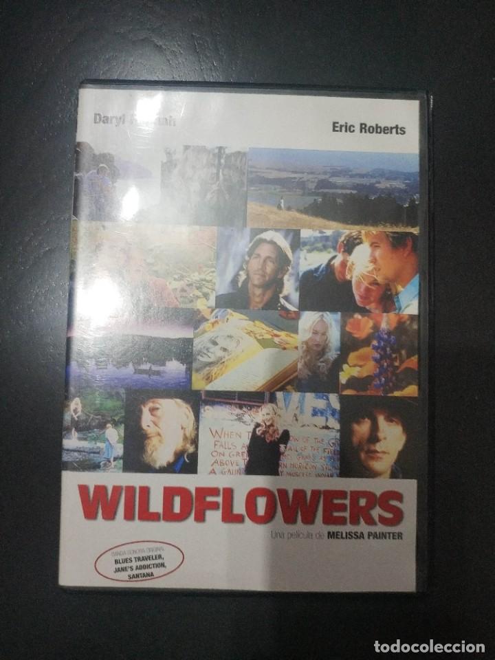 Cine: WILDFLOWERS (COMO NUEVO) - Foto 1