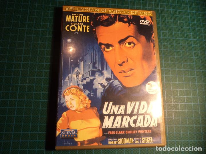 Cinema: Una vida marcada. (P-21).