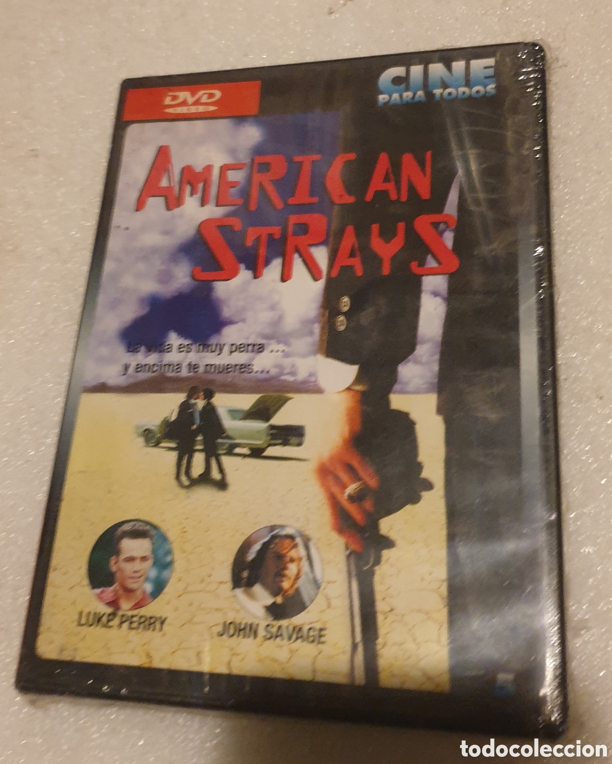 Cine: American Strays. SIN ABRIR