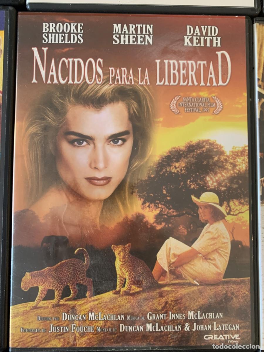 Cinema: Nacidos para la libertad