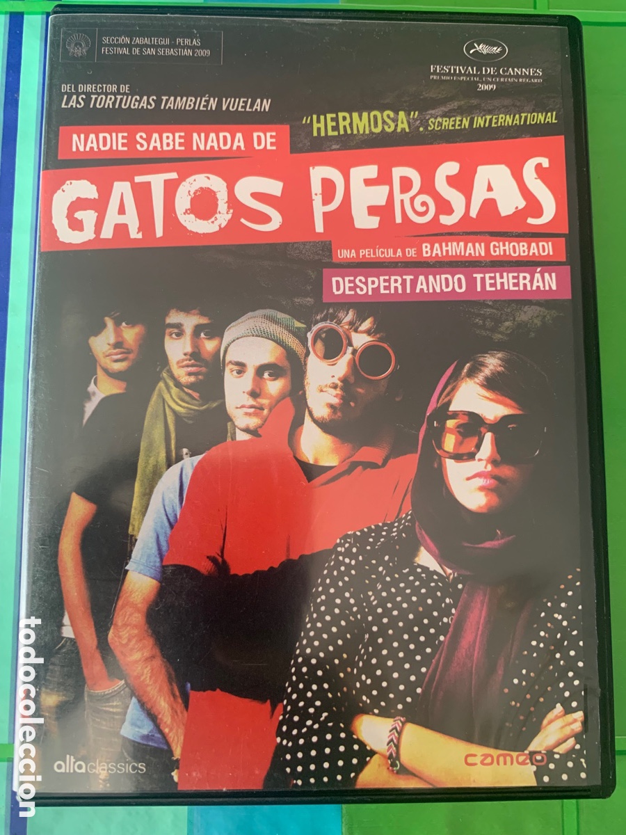 Kino: Nadie sabe nada de gatos persas