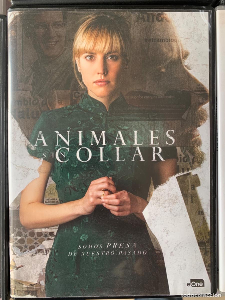 Cinema: Animales sin Collar