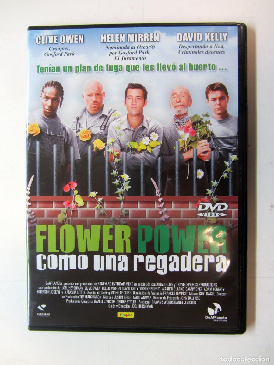 Cinema: Flower Power (como una regadera). Pel&iacute;cula en DVD Sin usar
