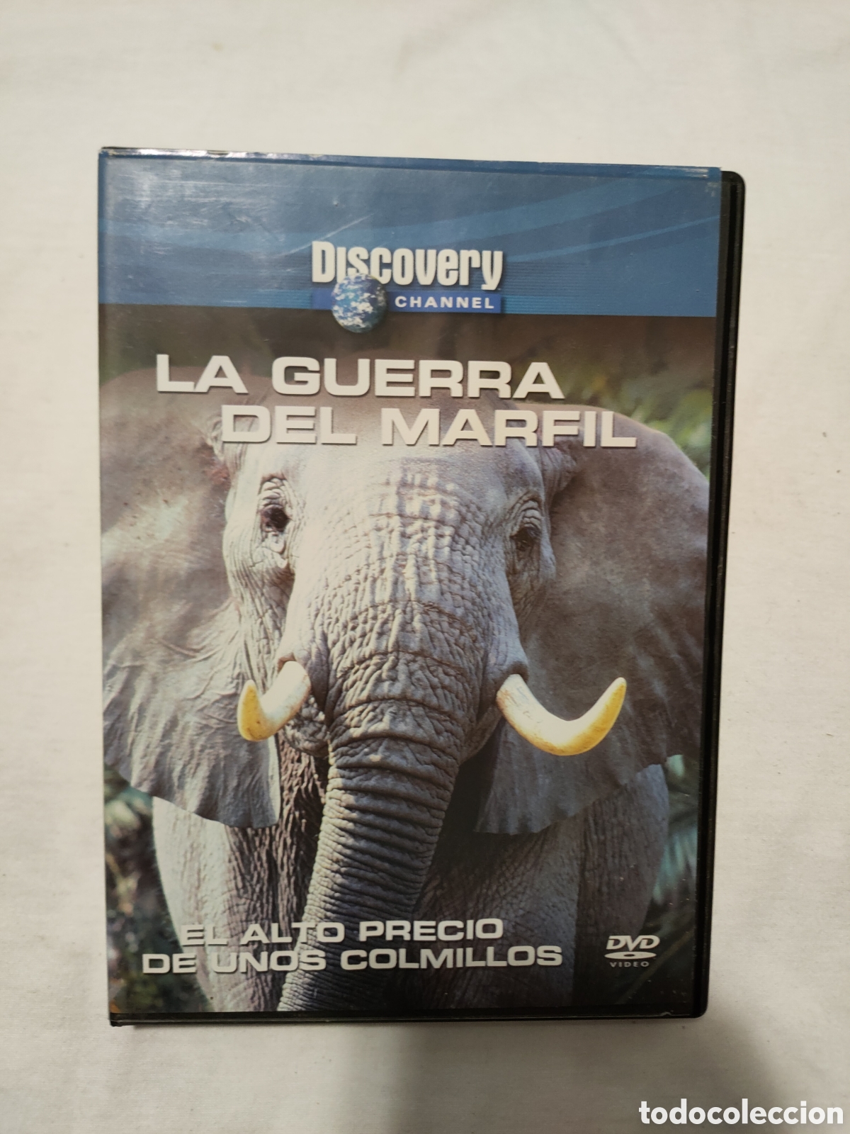 Cin&eacute;ma: S211 la guerra del marfil DVD SEGUNDAMANO