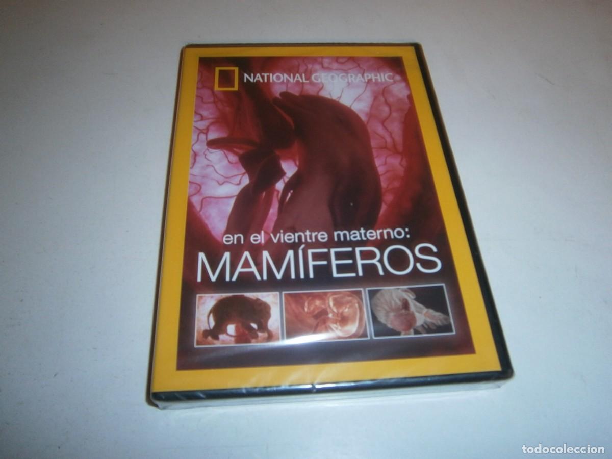 Cine: EN EL VIENTRE MATERNO: MAMIFEROS DVD NUEVO PRECINTADO
