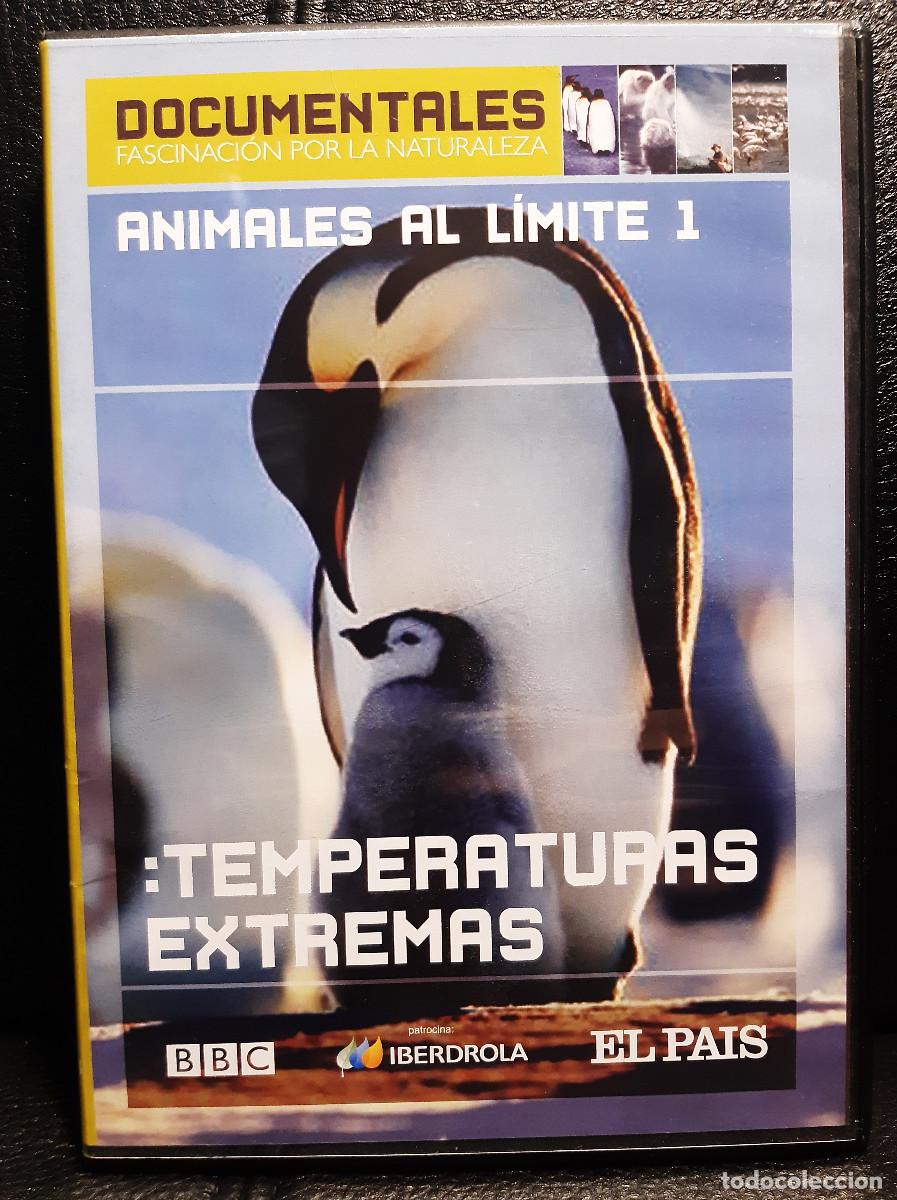 Cine: ANIMALES AL LIMITE 1 - TEMPERATURAS EXTREMAS - DVD - DOCUMENTAL BBC