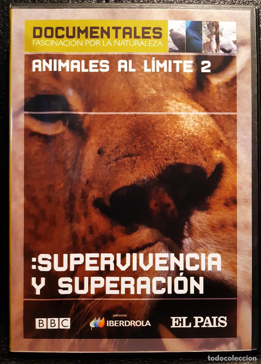 Cine: ANIMALES AL LIMITE 2 - SUPERVIVENCIA Y SUPERACION - DVD - DOCUMENTAL BBC