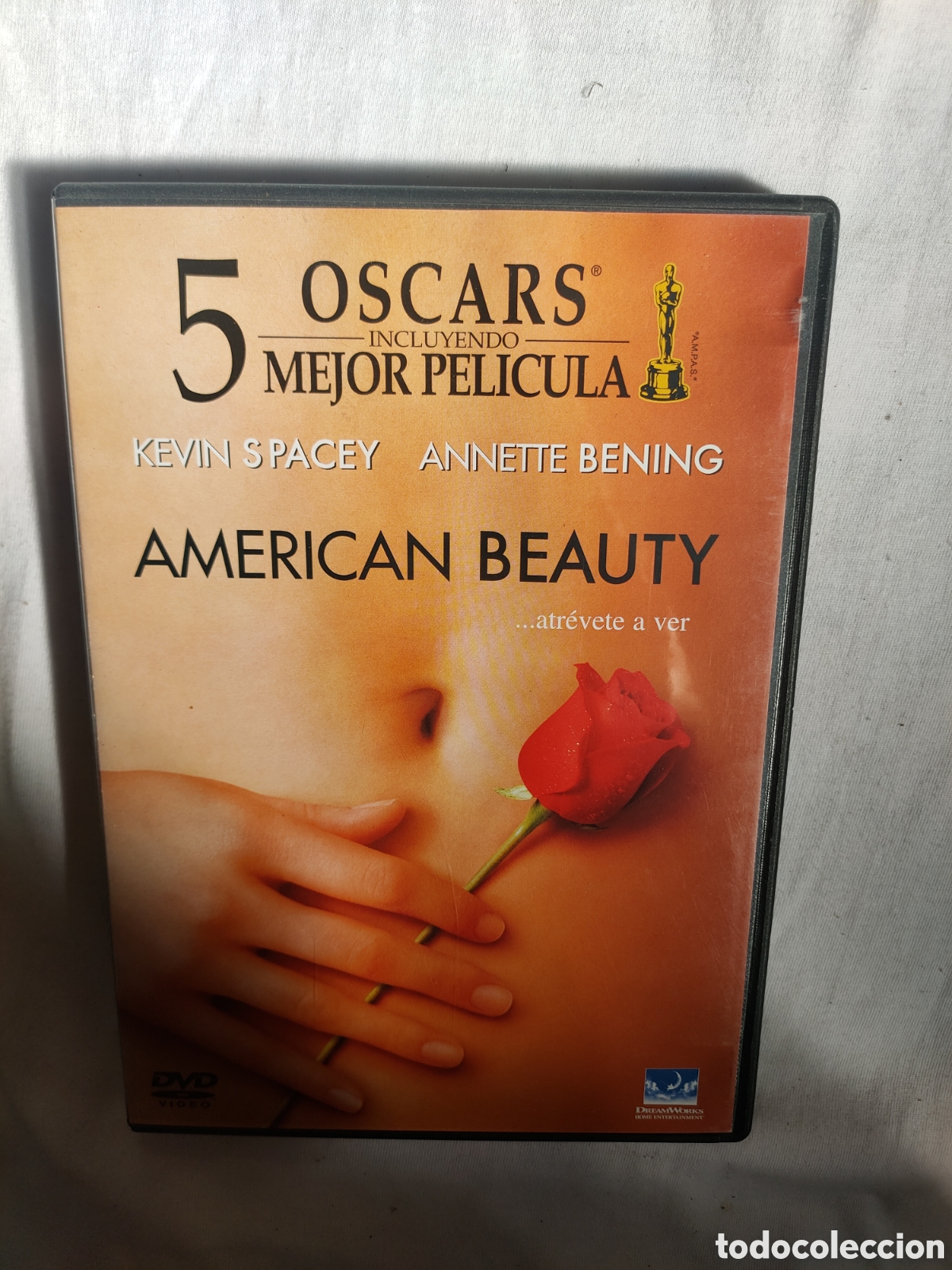 Cin&eacute;ma: CND28 americano beauty DVD COMO NUEVO