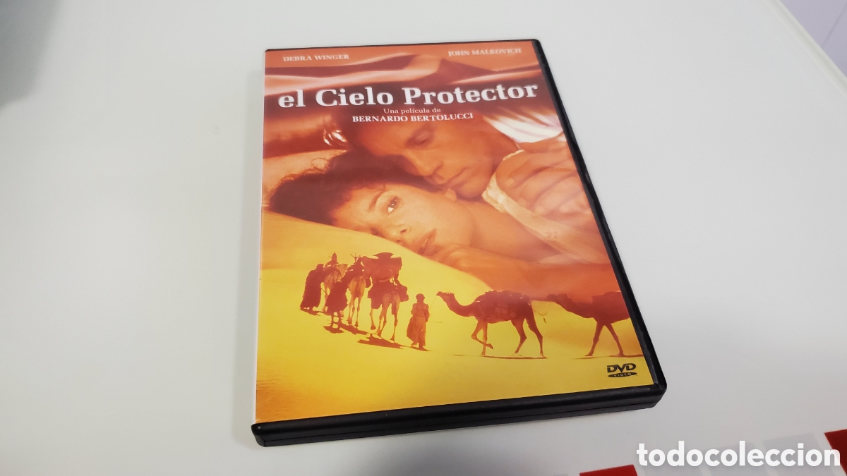 Cine: DVD El cielo Protector - Foto 1