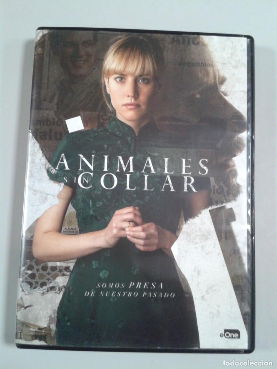 Cine: ANIMALES SIN COLLAR DVD. MU