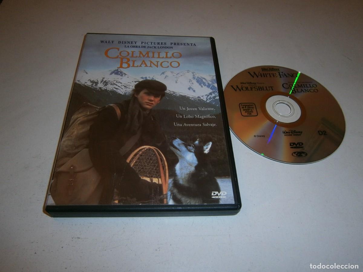 Cine: COLMILLO BLANCO DVD
