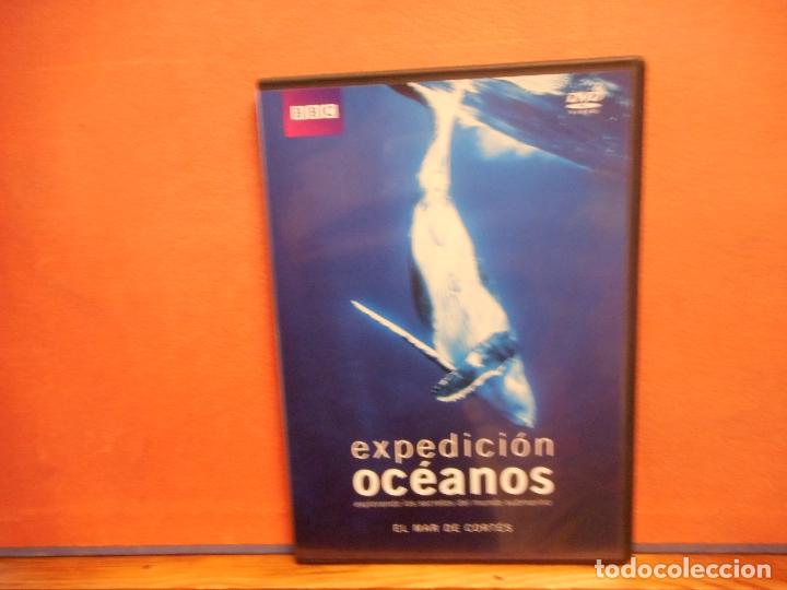 Cinema: DVD. EXPEDICI&Oacute;N OC&Eacute;ANOS. EL MAR DE CORT&Eacute;S