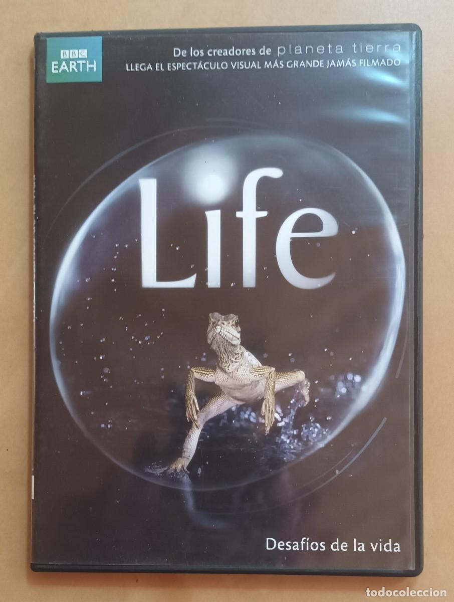 Cinema: DVD - LIFE - DESAFIOS DE LA VIDA - BBC EARTH