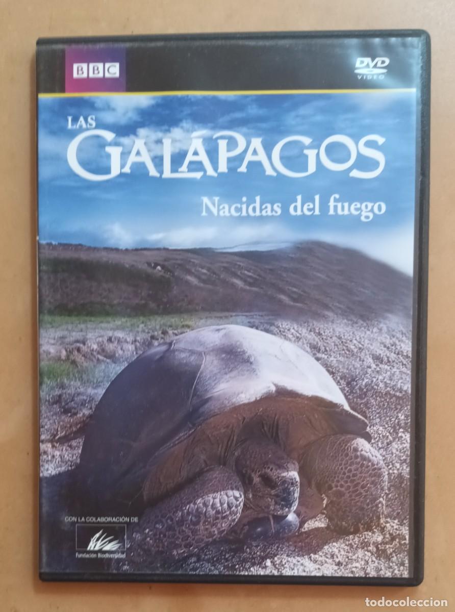 Cinema: DVD - LAS GALAPAGOS - NACIDAS DEL FUEGO - BBC