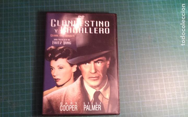 Cinema: Clandestino y caballero. (P-25).