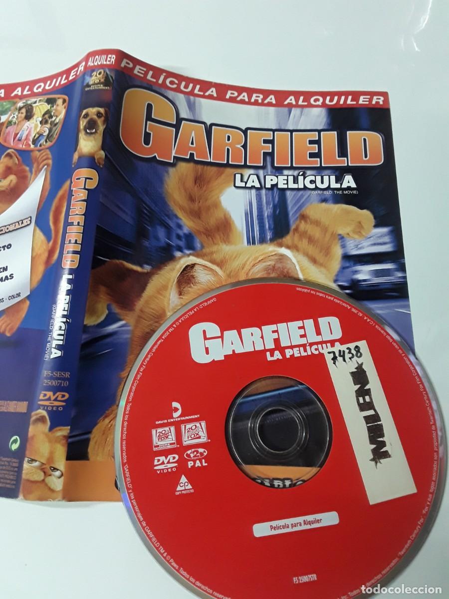 Cine: Pel&iacute;cula DVD Garfield - La Pel&iacute;cula