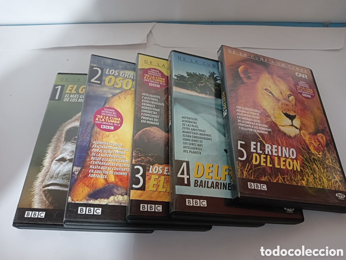 Kino: DVDs documentales de la cuna a la Tumba, CNR BBC