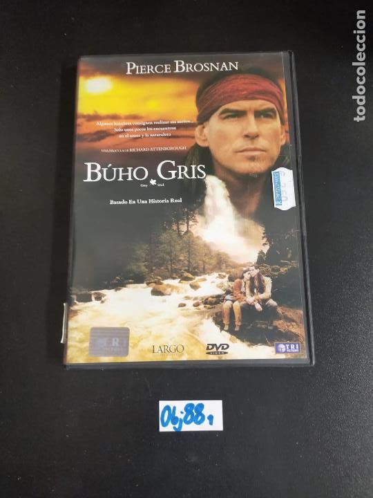 Cine: B&uacute;ho gris - Foto 1