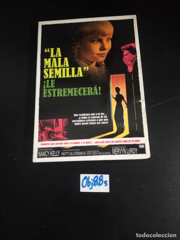 Cine: La mala semilla - Foto 1