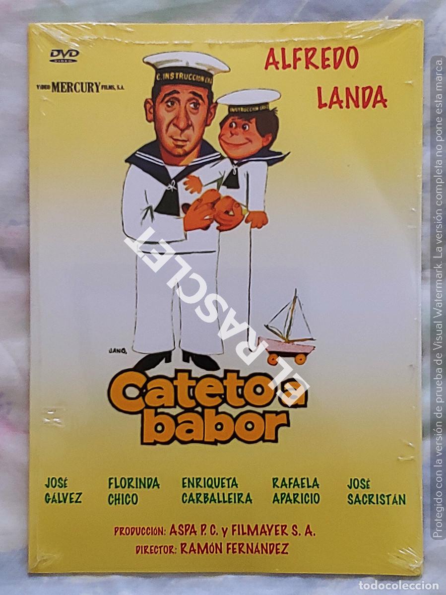 Cinema: CINE PELICULA EN DVD -CATETE A BABOR ( PRECINTADA)
