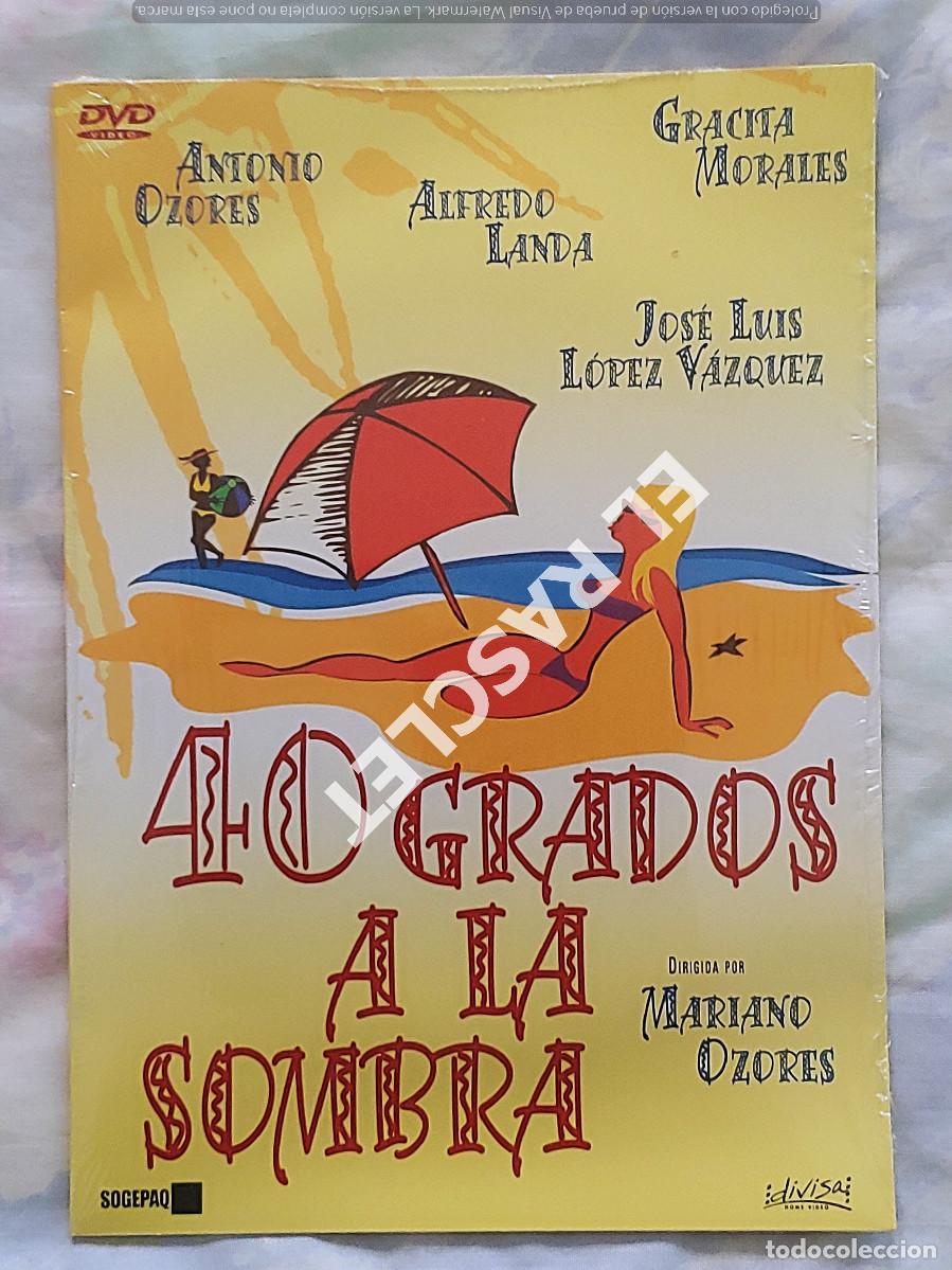 Cine: CINE PELICULA EN DVD -40 GRADOS A LA SOMBRA- PRECINTADA