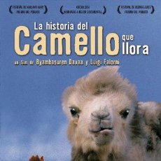 Cine: LA HISTORIA DEL CAMELLO QUE LLORA (THE STORY OF THE WEEPING CAME [DVD] ([OBJECT OBJECT]). Lote 401387194