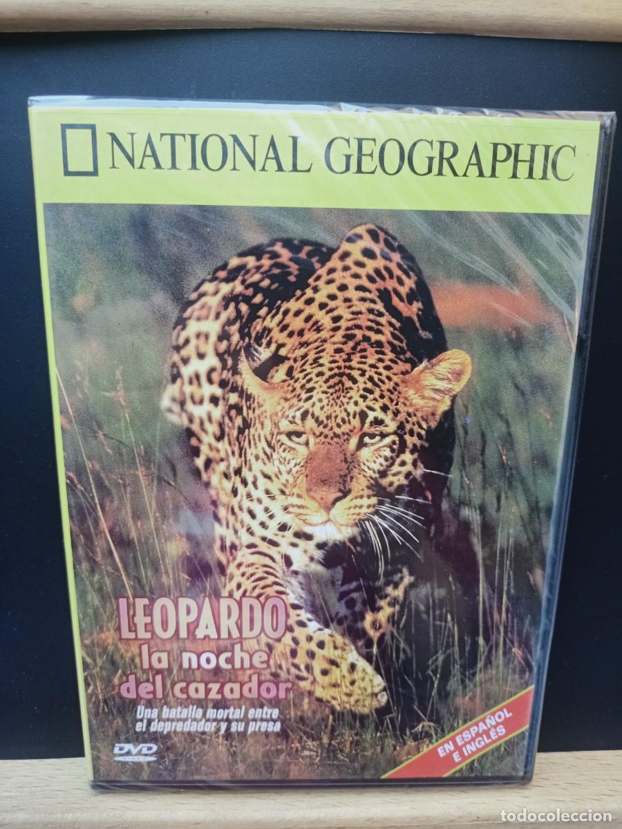Cinema: NATIONAL GEOGRAPHIC - LEOPARDO, LA NOCHE DEL CAZADOR- DVD PRECINTADO