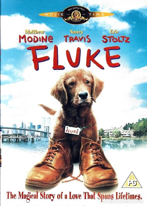 Cine: FLUKE MATTHEW MODINE - Foto 1
