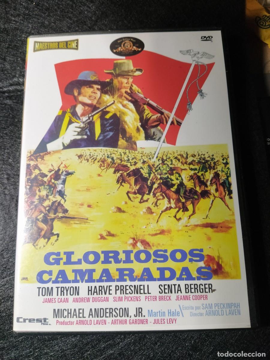Cinema: GLORIOSOS CAMARADAS - DVD