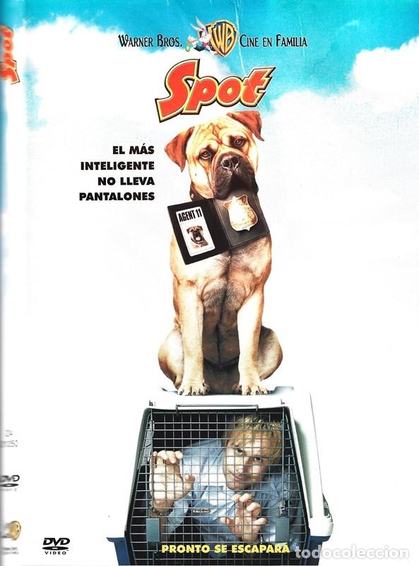 Kino: SPOT EL M&Aacute;S INTELIGENTE NO LLEVA PANTALONES