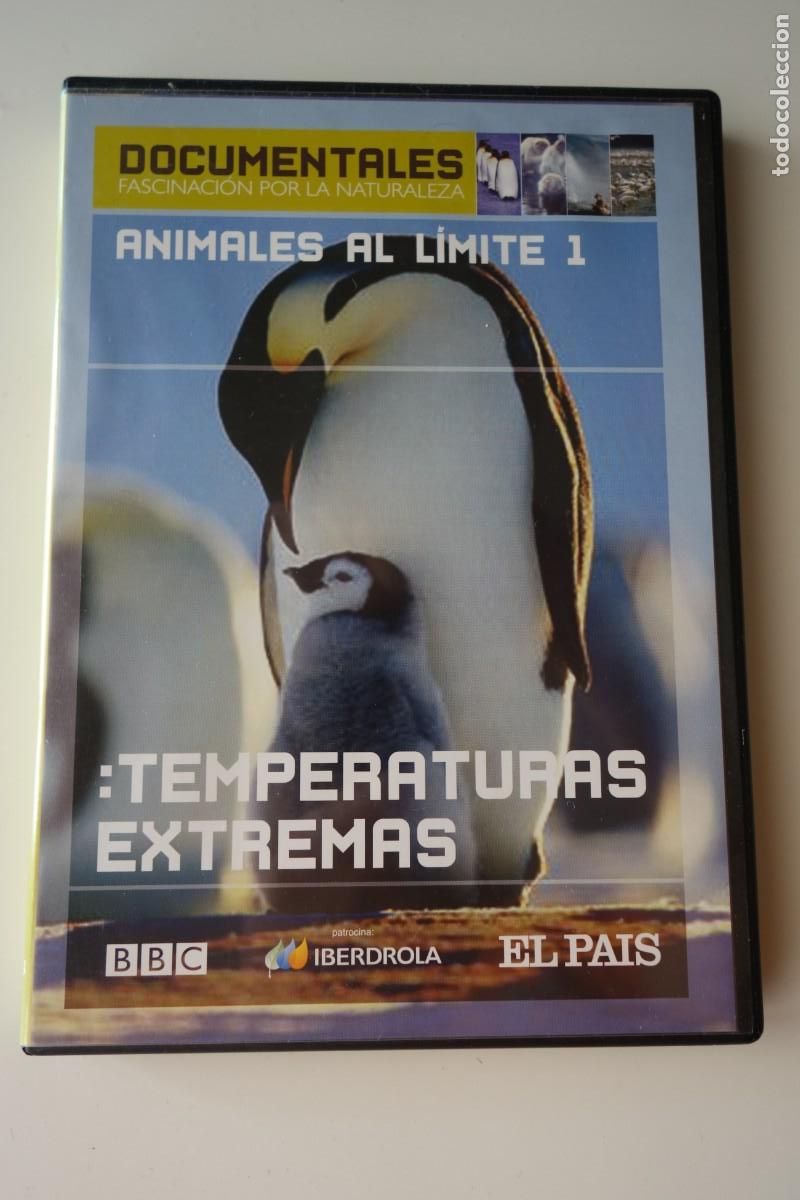 Kino: ANIMALES AL L&Iacute;MITE: TEMPERATURAS EXTREMAS. DVD. DOCUMENTAL