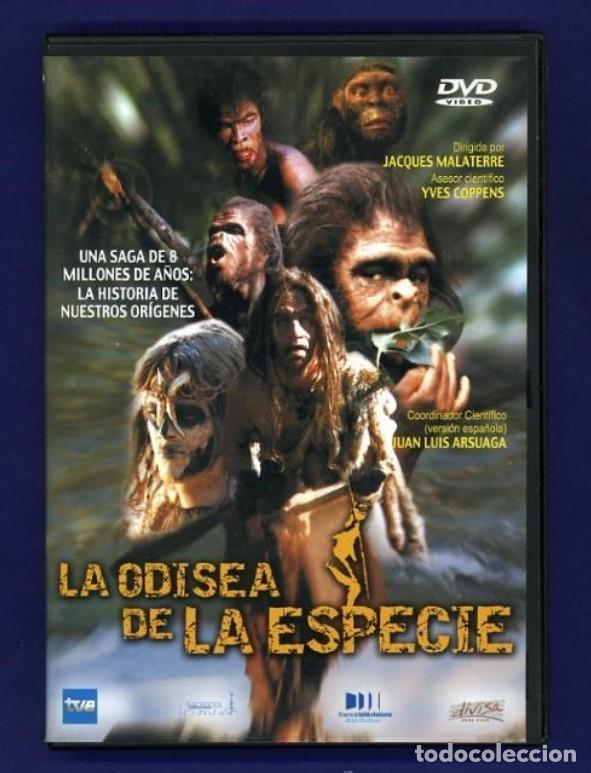 Cine: DVD LA ODISEA DE LA ESPECIE DOCUMENTAL TVE - Foto 1