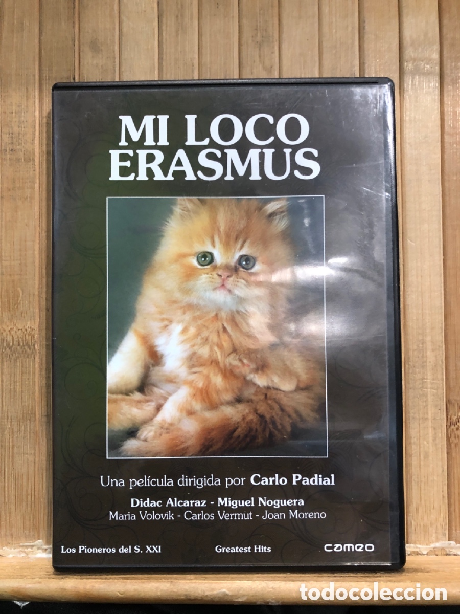Kino: Mi loco Erasmus DVD SEMINUEVO