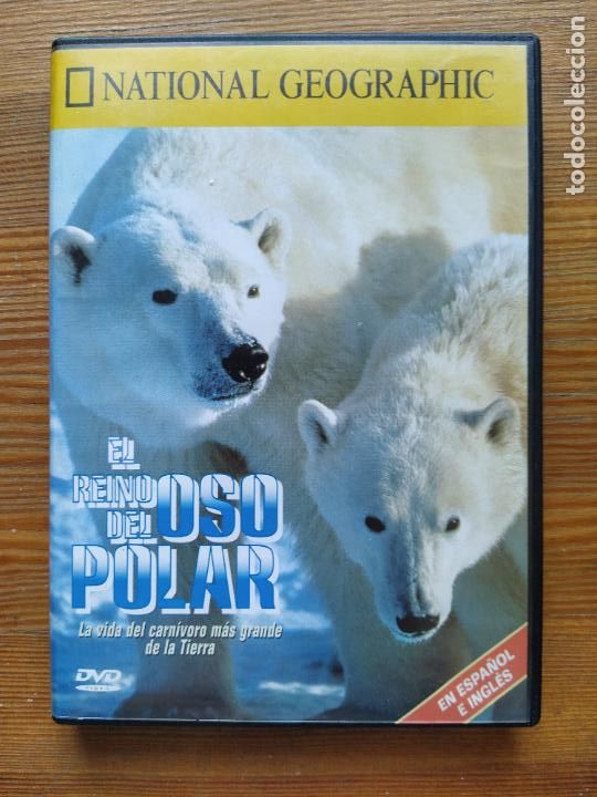 Cinema: DVD EL REINO DEL OSO POLAR - NATIONAL GEOGRAPHIC (AW)